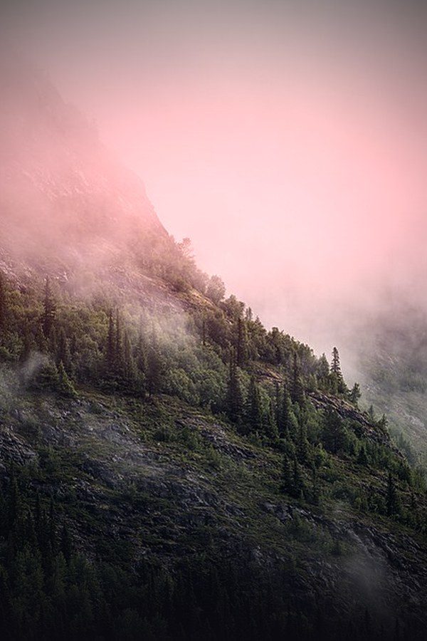 Misty forested mountainside at dawn — Northern Drama series on KemoTV